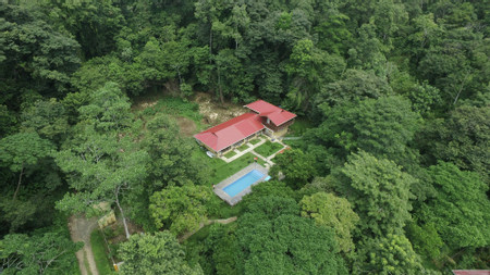 Villa Sevilla photo 3